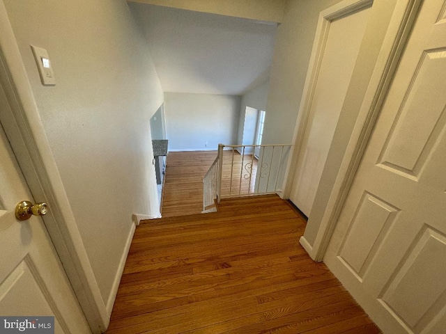 stairway with hardwood / wood-style flooring