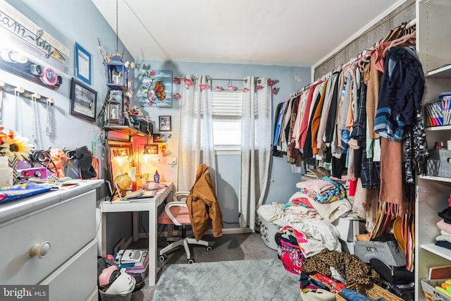 spacious closet with carpet flooring