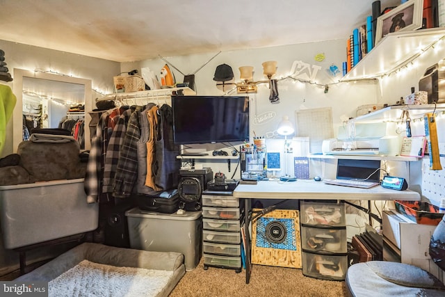 kitchen featuring carpet floors