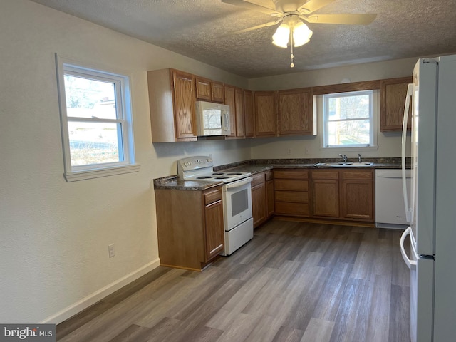 kitchen with sink, white appliances, a textured ceiling, and hardwood / wood-style flooring