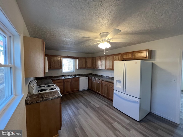 kitchen featuring sink, a textured ceiling, ceiling fan, hardwood / wood-style flooring, and white appliances