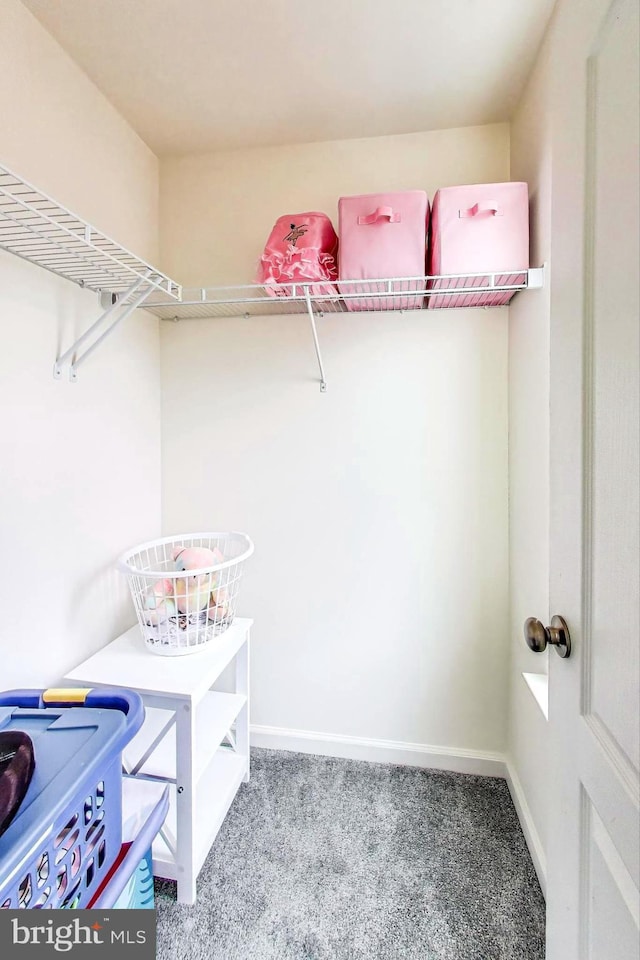 walk in closet with carpet flooring