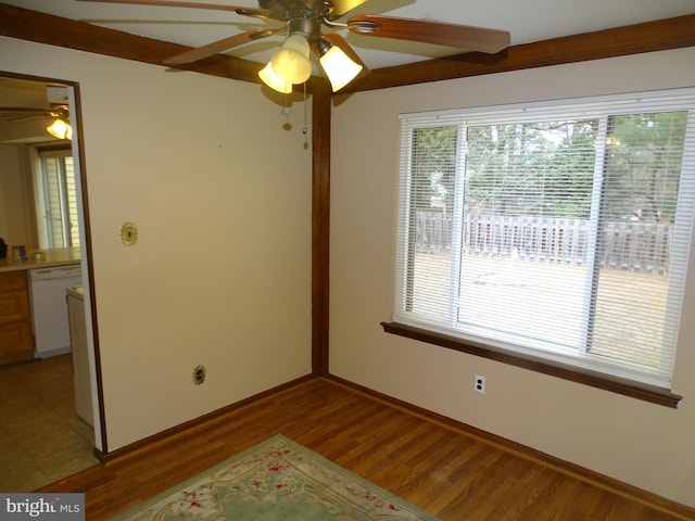 unfurnished room with ceiling fan and light hardwood / wood-style flooring