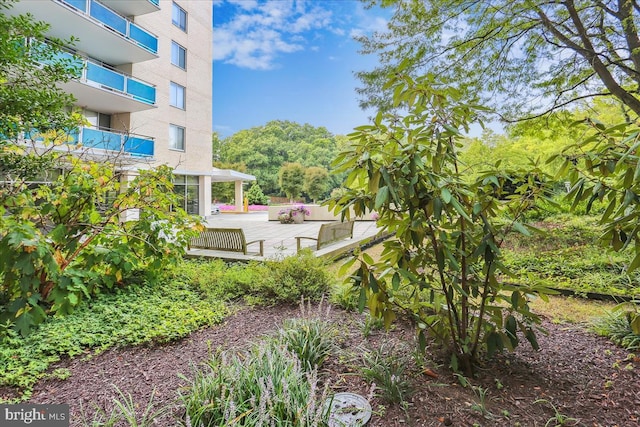 view of yard with a patio area