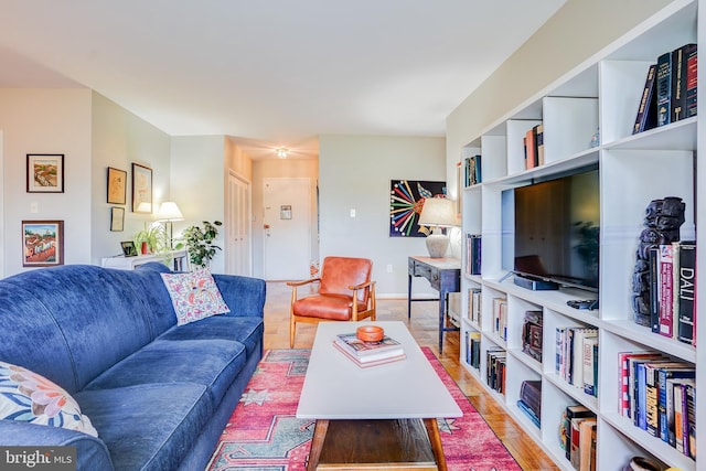 living room with hardwood / wood-style floors