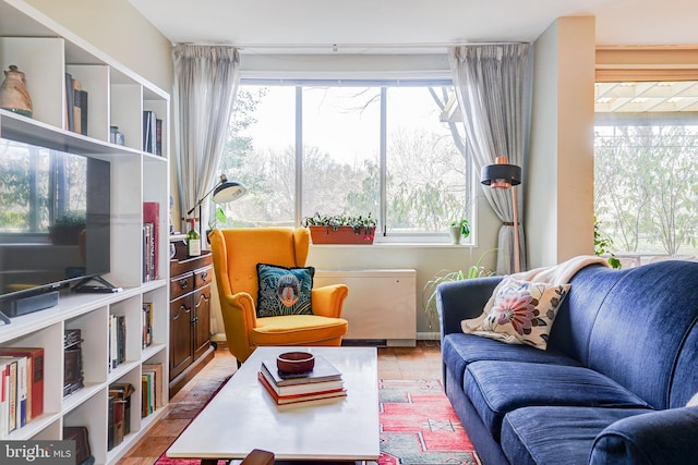 living room featuring radiator