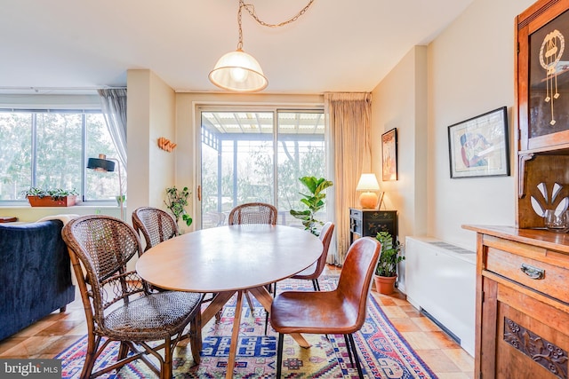 dining space with a healthy amount of sunlight