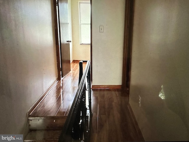 hallway featuring dark hardwood / wood-style floors