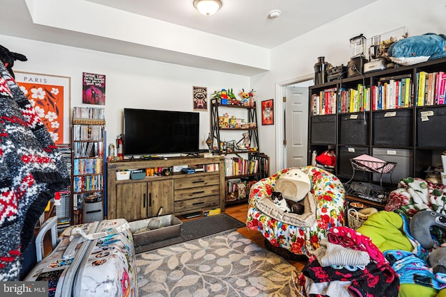 living room featuring hardwood / wood-style floors