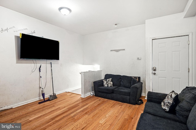 living room featuring wood-type flooring