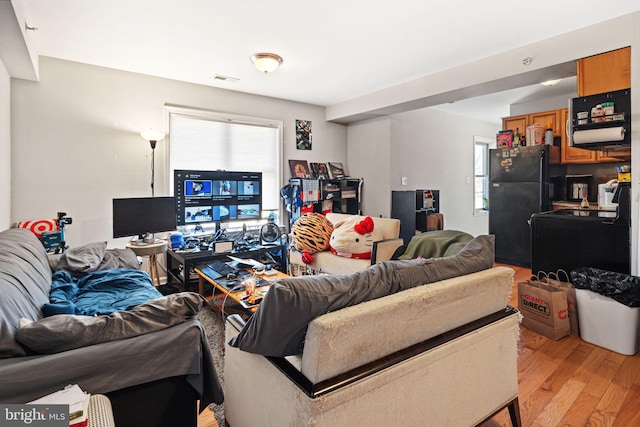 living room with light hardwood / wood-style flooring