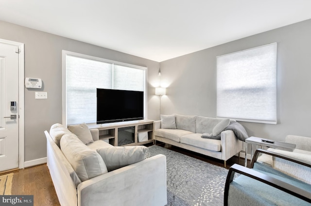 living room with hardwood / wood-style flooring and a wealth of natural light