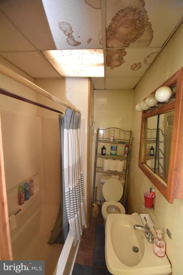 full bathroom featuring a sink and toilet