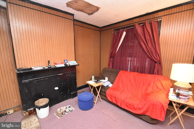 living area with carpet and wooden walls