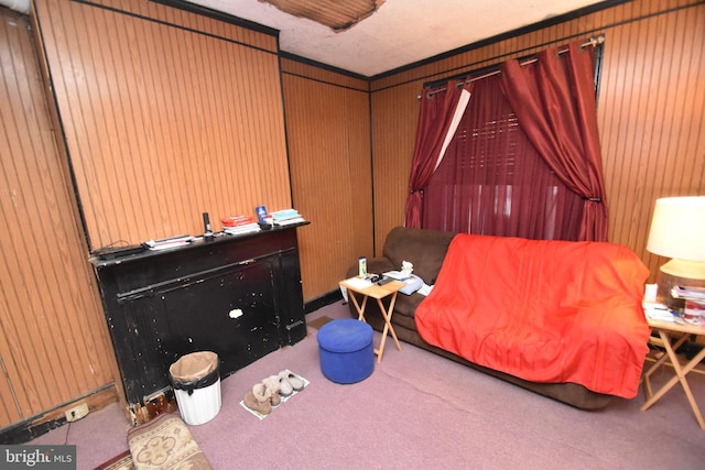 living area featuring carpet and wooden walls