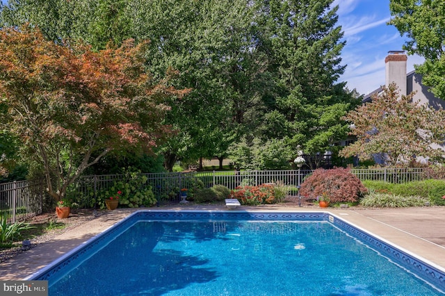 view of pool with a patio