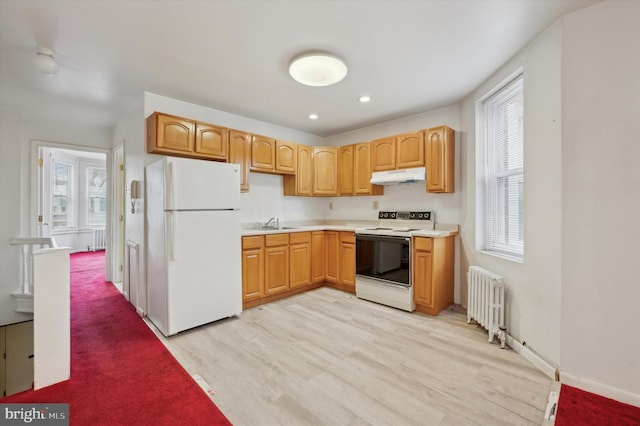 kitchen with sink, white appliances, radiator heating unit, and light wood-type flooring