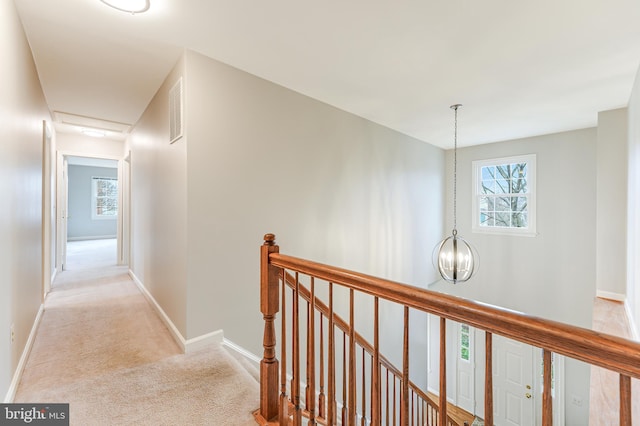 hallway with an inviting chandelier, plenty of natural light, and light carpet