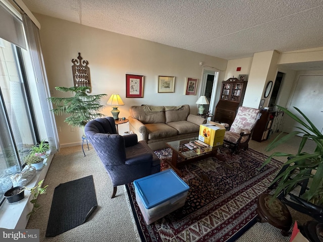 carpeted living room with a textured ceiling