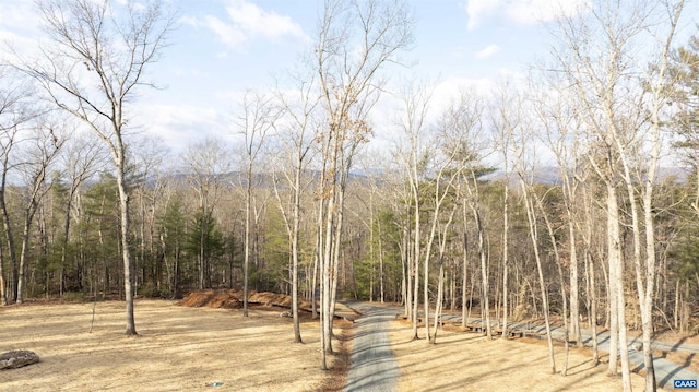 Listing photo 2 for PARCEL54 Free Union Rd, Charlottesville VA 22901