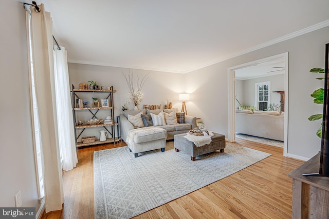 living room featuring hardwood / wood-style flooring and ornamental molding