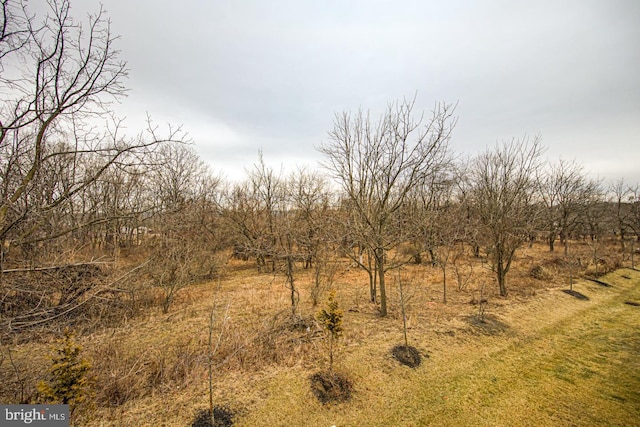 view of landscape with a rural view