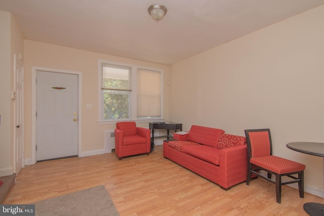 living room with light wood-type flooring