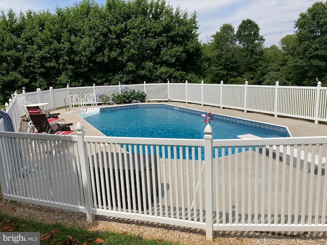 view of pool with a patio area