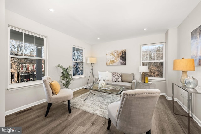 living room with hardwood / wood-style floors