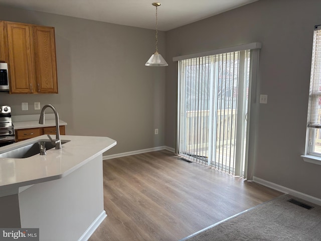 kitchen with appliances with stainless steel finishes, a healthy amount of sunlight, visible vents, and a sink