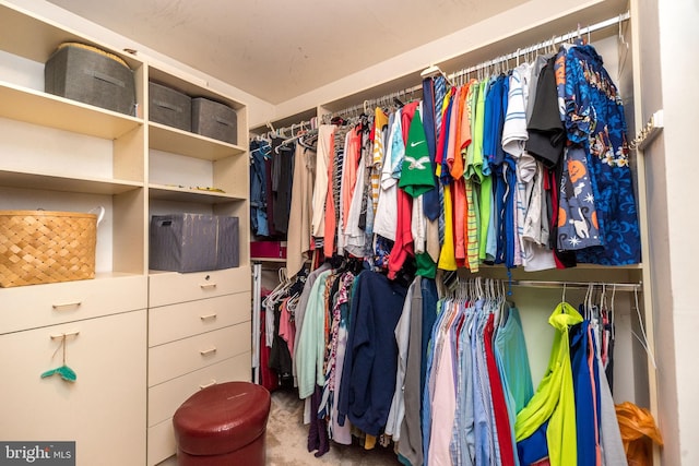 view of spacious closet