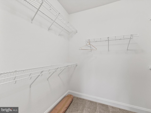 spacious closet with carpet flooring