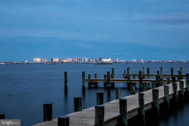 dock area with a water view