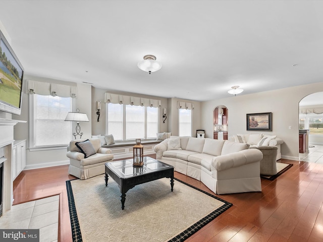 living room with hardwood / wood-style floors and a wealth of natural light