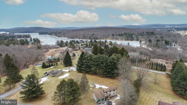 drone / aerial view with a mountain view