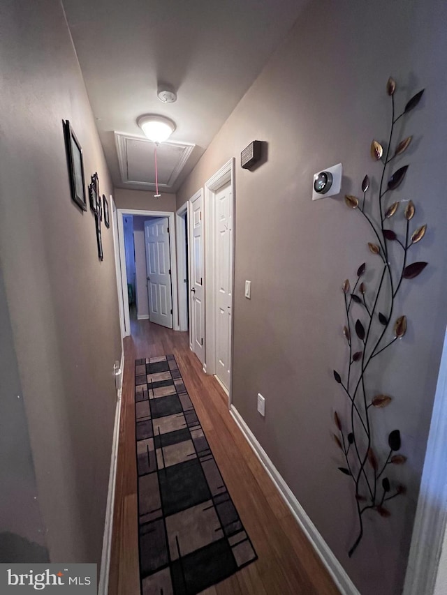 corridor featuring dark hardwood / wood-style floors