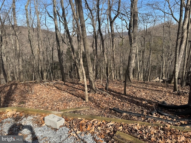 LOT8 Laurel Hill Ct, Harpers Ferry WV, 25425 land for sale