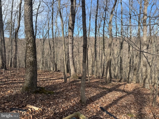 Listing photo 2 for LOT8 Laurel Hill Ct, Harpers Ferry WV 25425