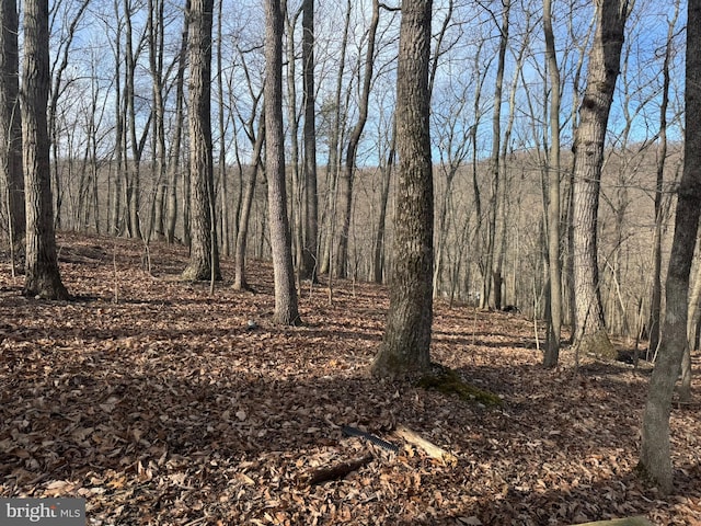 Listing photo 3 for LOT8 Laurel Hill Ct, Harpers Ferry WV 25425