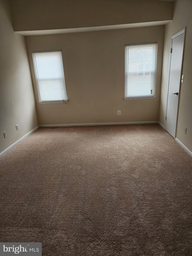 spare room with carpet