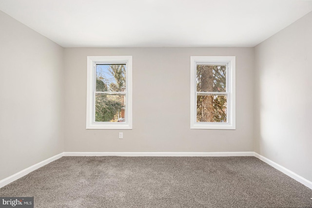 empty room with carpet floors and a wealth of natural light