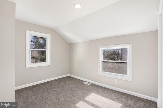 additional living space with a healthy amount of sunlight, vaulted ceiling, and carpet floors