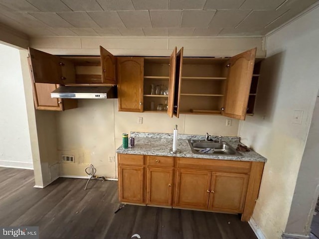 kitchen with ventilation hood, sink, and dark hardwood / wood-style floors