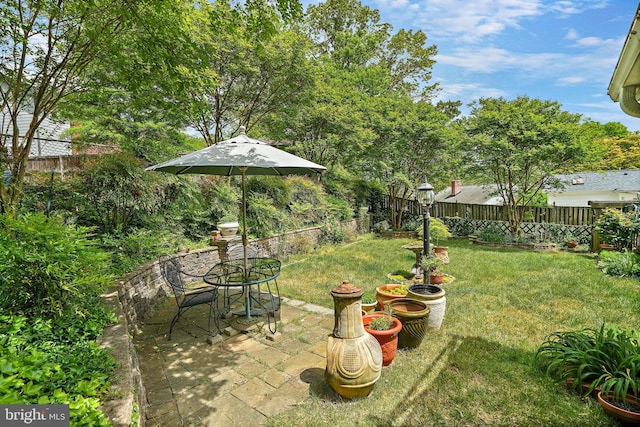 view of yard featuring a patio area