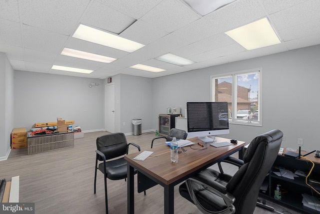 office area featuring a paneled ceiling and light hardwood / wood-style flooring