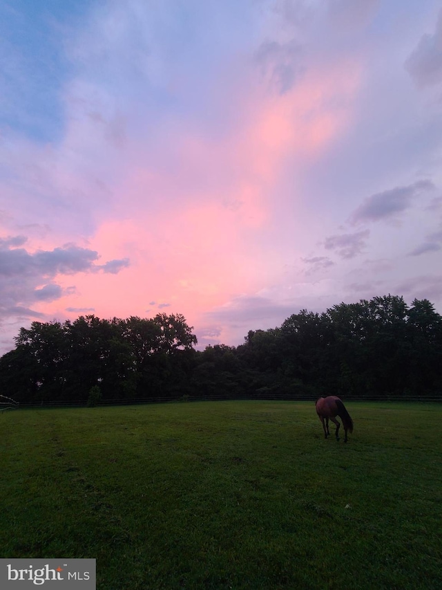 view of yard at dusk