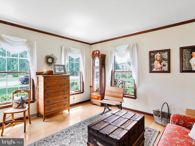 living room with crown molding and light wood-type flooring