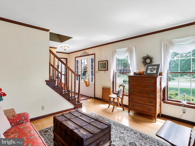 living room featuring ornamental molding, radiator heating unit, and light wood-type flooring