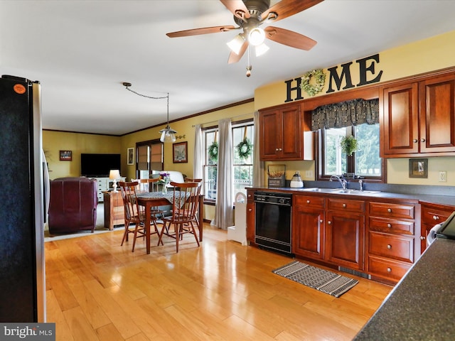 kitchen featuring sink, light hardwood / wood-style flooring, stainless steel fridge, dishwasher, and hanging light fixtures