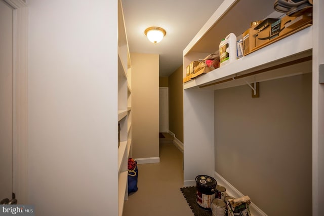 view of walk in closet